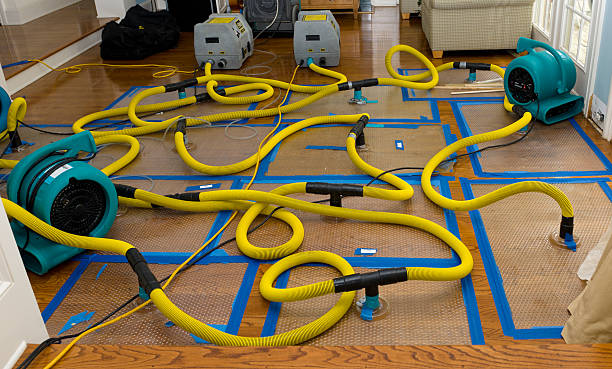 Professional Water Extraction technician working in Custer, WI